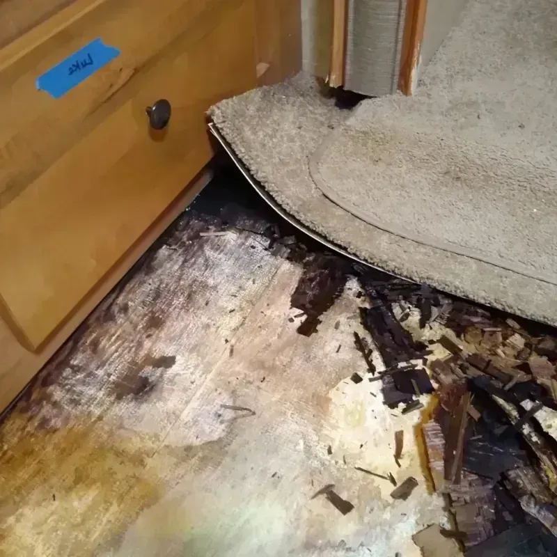 Wood Floor Water Damage in Norfolk, NY